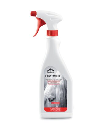 Shampoo seco Easy White