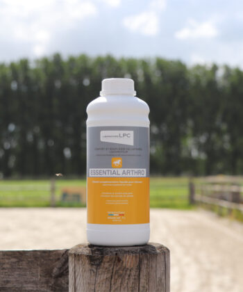 Essential Arthro