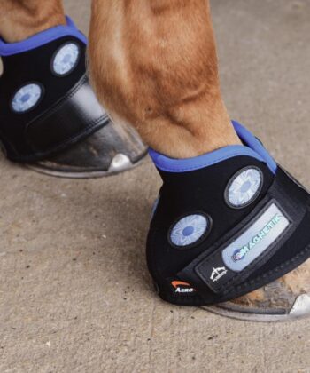 Hoof Boot Magnetik - Veredus