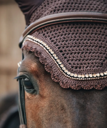 Orelheira Wellington Stone & Pearls - KENTUCKY