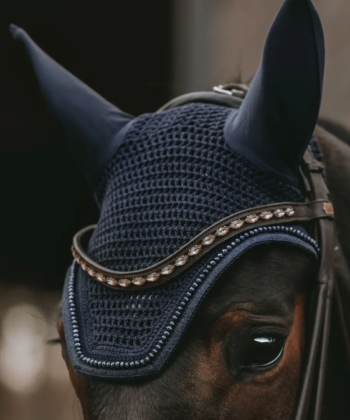Orelheira Wellington Glitter Band- KENTUCKY