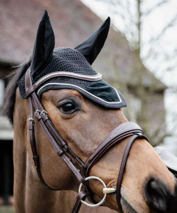 Orelheira Wellington Basic Velvet - KENTUCKY