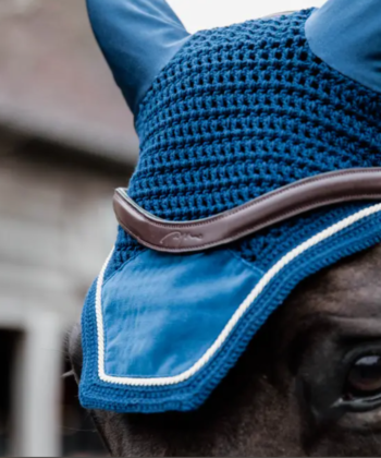 Orelheira Wellington Basic Velvet - KENTUCKY