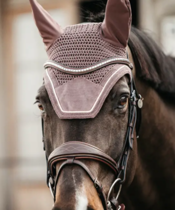 Orelheira Wellington Velvet - KENTUCKY