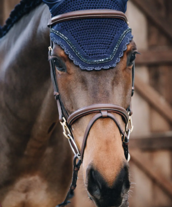 Orelheira Wellington Stone & Pearls - KENTUCKY