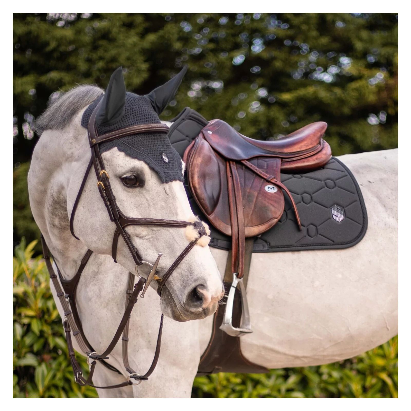 spineshield cinzento2